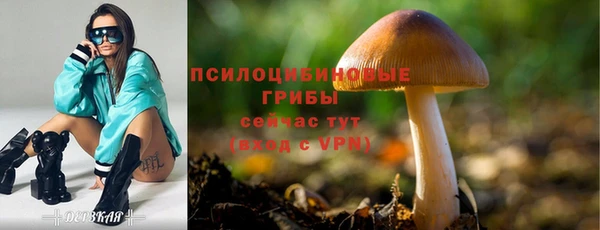 марки lsd Баксан