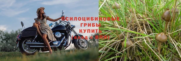 не бодяженный Балахна